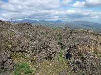 iara Scorciavacca-20110306 021